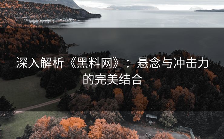 深入解析《黑料网》:悬念与冲击力的完美结合 深入解析《黑料网》:悬念与冲击力的完美结合